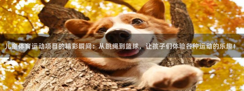 球迷体育软件：儿童体育运动项目的精彩瞬间：从跳绳到篮球，让孩子们体验各种运动的乐趣！