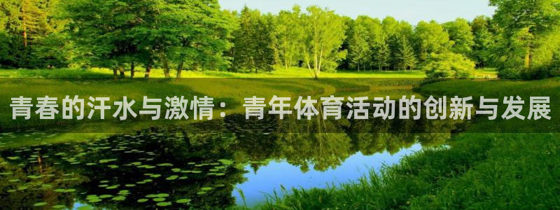球迷体育：青春的汗水与激情：青年体育活动的创新与发展