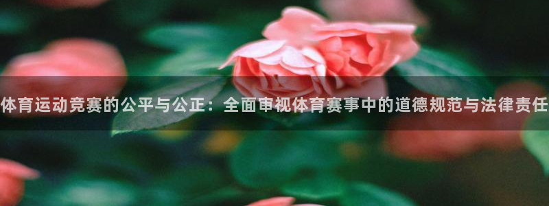 球迷体育足球篮球直播：体育运动竞赛的公平与公正：全面审视体育赛事中的道德规范与法律责任