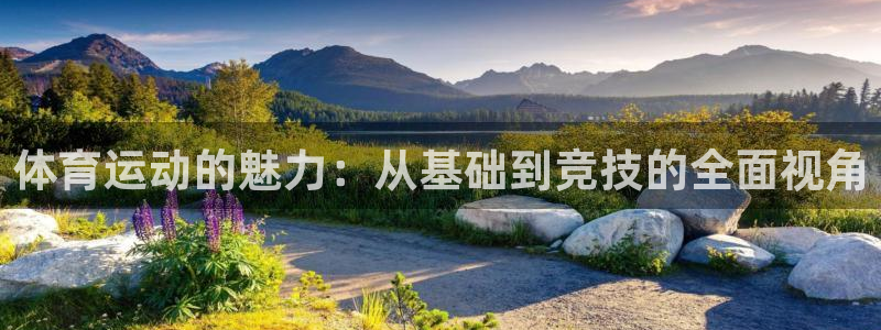 球迷体育app官方版下载安卓：体育运动的魅力：从基础到竞技的全面视角
