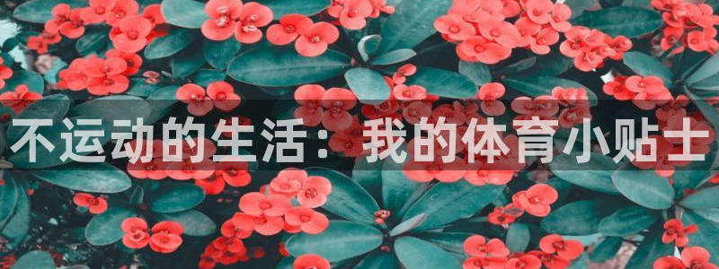 球迷体育下载：不运动的生活：我的体育小贴士